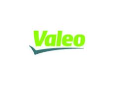 Spojková lamela Fiat Punto VALEO 803182